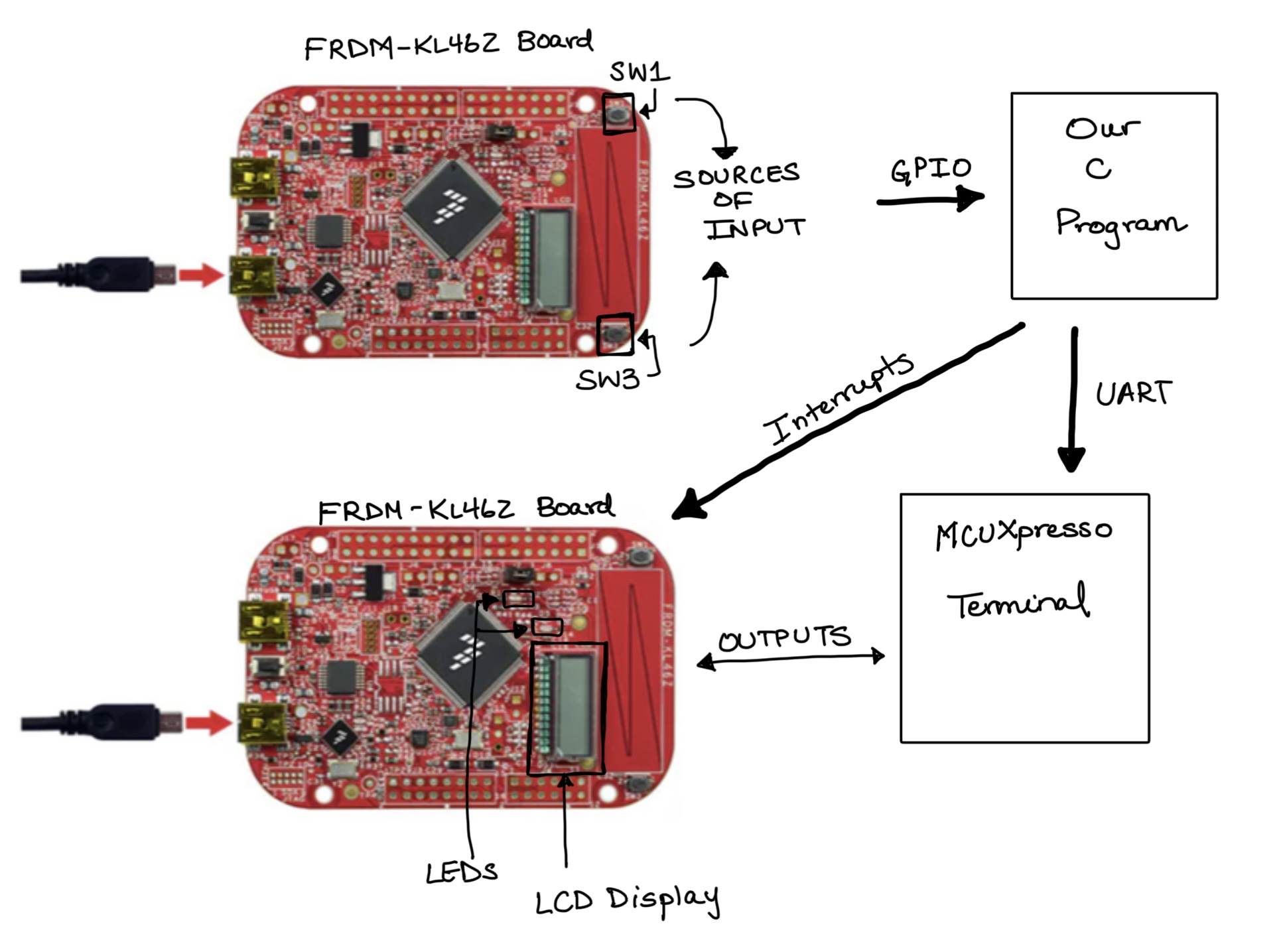 Block Diagram of the System