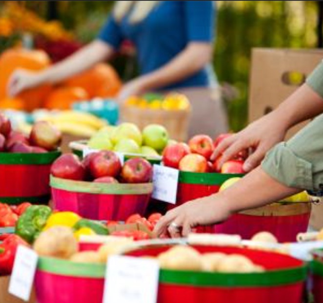 Ithaca Apple Harvest Festival