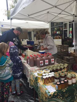 Apple Cider Vendor