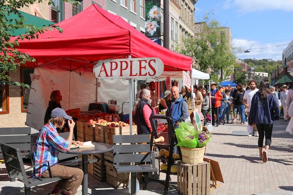 Apple Vendor