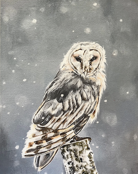 Painting of snow owl