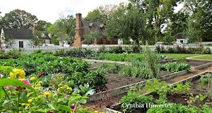 Colonial kitchen garden.